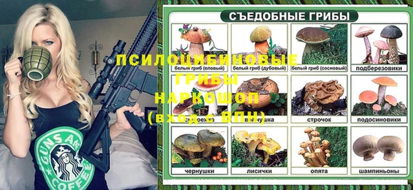 крисы Абинск