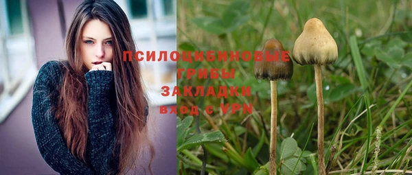 apvp Абаза