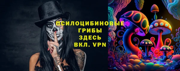 apvp Абаза
