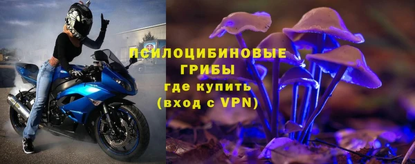 apvp Абаза