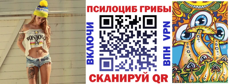Псилоцибиновые грибы Magic Shrooms  где найти наркотики  МЕГА ссылка  Чехов 